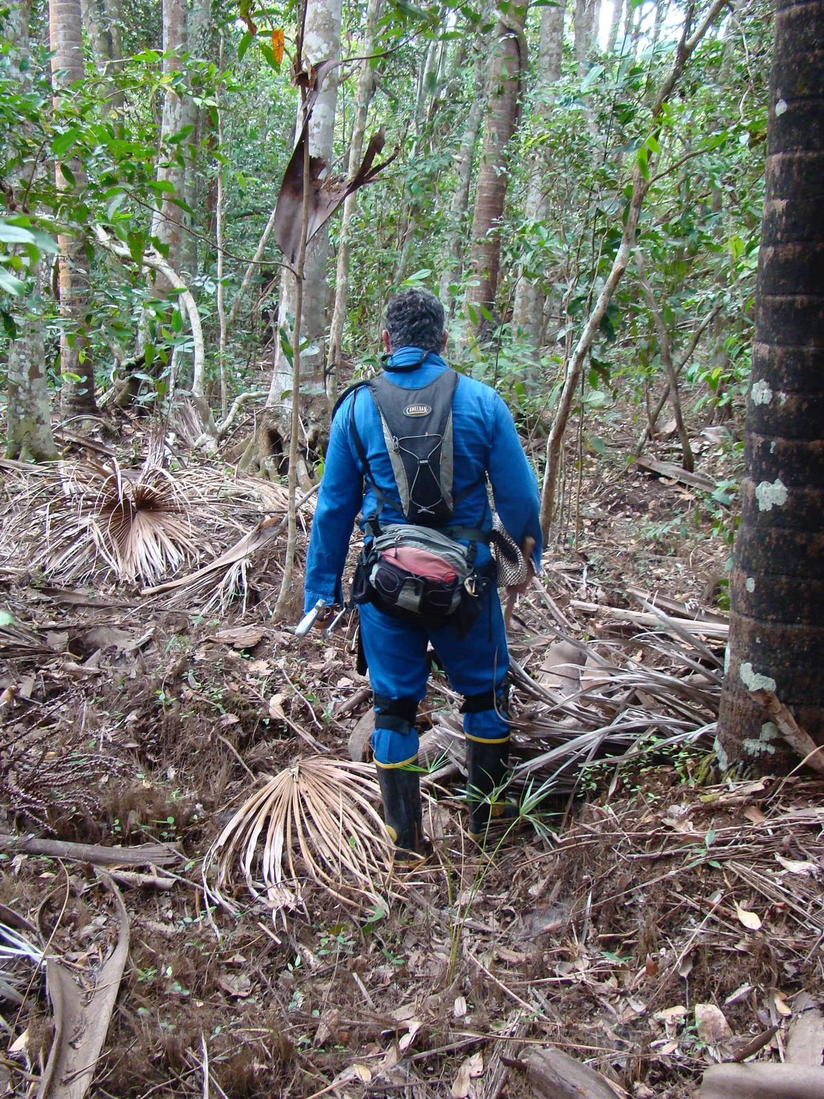 Profesional en campo durante actividades de compensación biótica