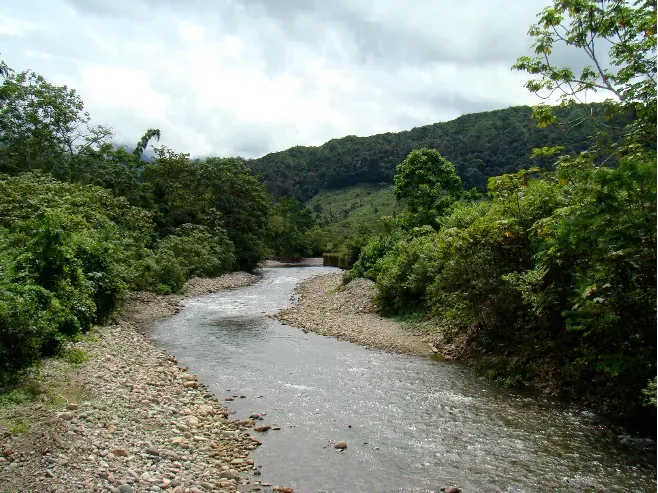 Gestión ambiental y recurso hídrico
