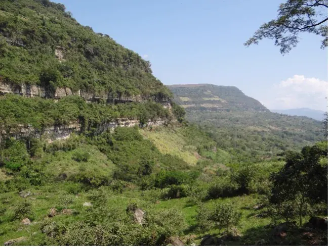 Estudios geotécnicos y geológicos