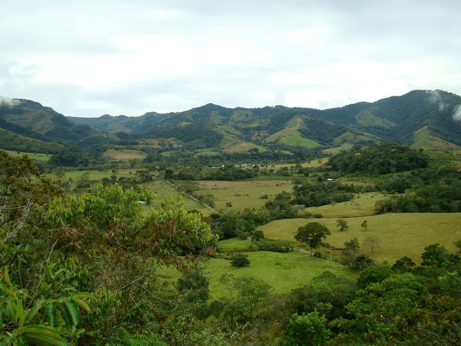 Paisaje natural colombiano