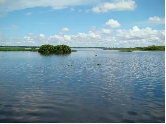 Muestreo de ecosistemas acuáticos
