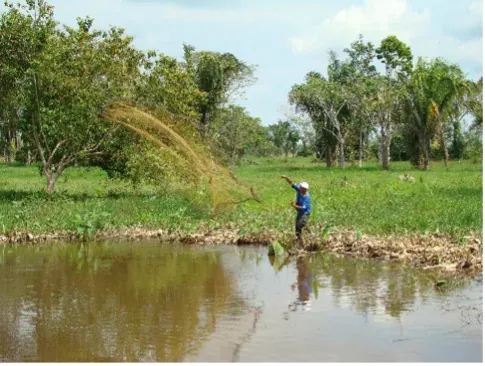 Análisis de cuerpos de agua