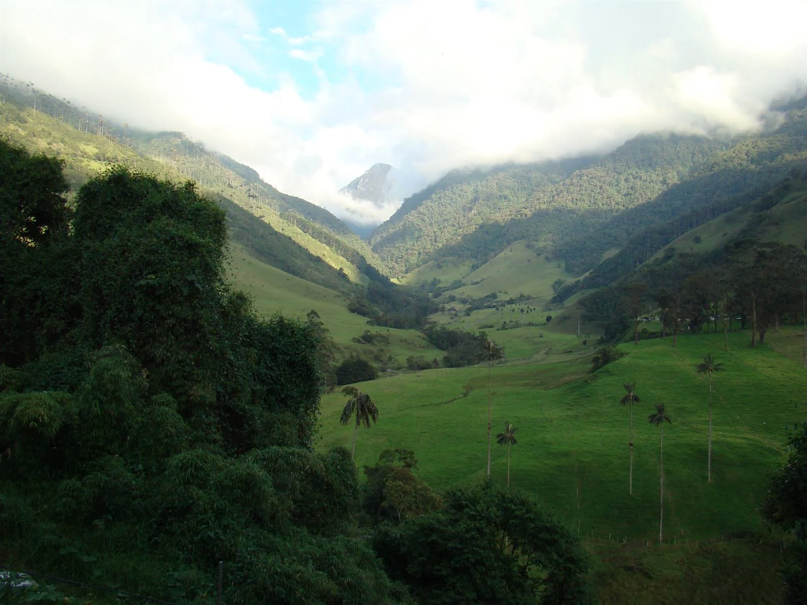 Valle y hábitat natural objeto de un plan de manejo y conservación