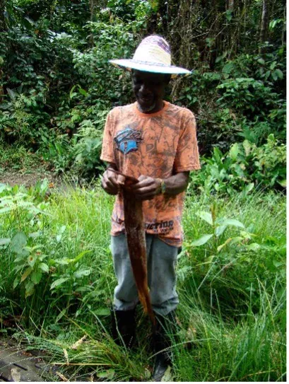 Trabajo de campo ambiental